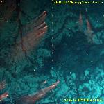 NOAA 14,   22.01.1999   9:13 GMT  Район реки Етыпур 