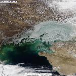 Динамика развития ледовой обстановки на севере Каспийского моря, 25.03.2012